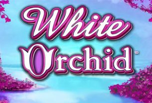 Khám Phá White Orchid Game – Trò Chơi Gây Sốt!